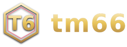 tm66 โลโก้